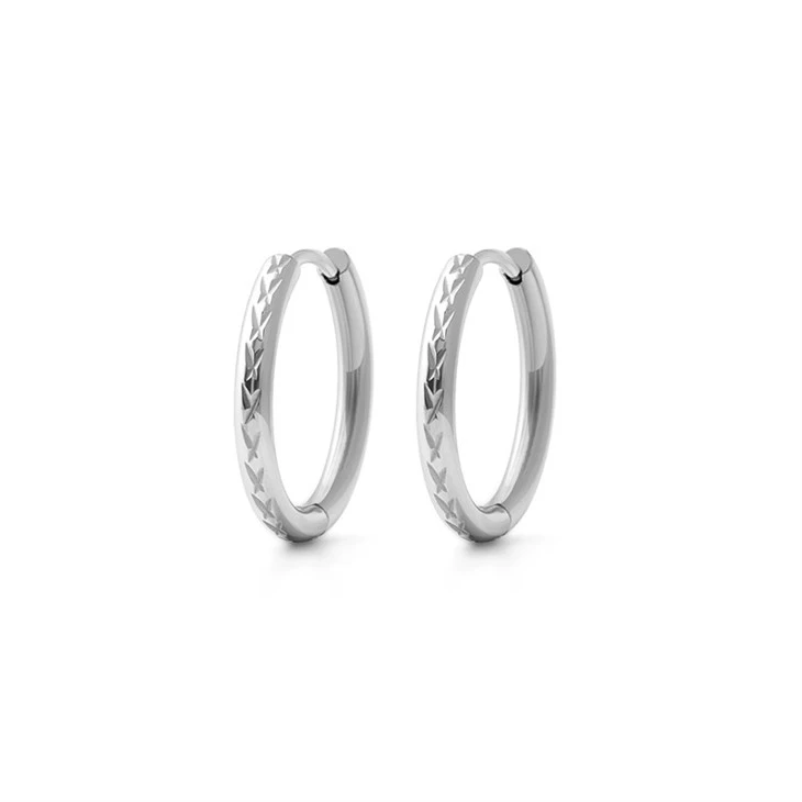 316L Stainless Steel PVD Diamond-Cut Polished Hoop Earrings suppliers 316L Stainless Steel PVD Diamond-Cut Polished Hoop Earrings suppliers